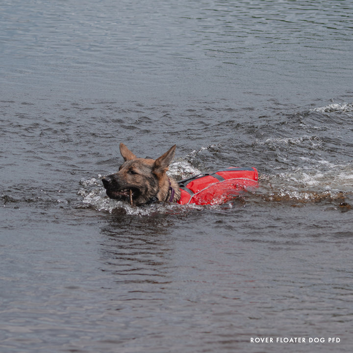 Rover Floater Dog PFD XL / XXL